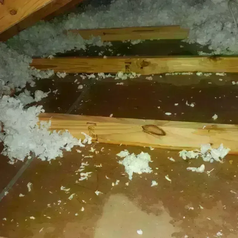 Attic Water Damage in Scott Air Force Base, IL